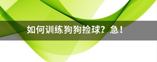 篮球训练的软件叫什么_2